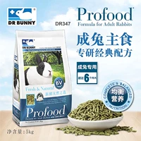 Кролик -кролик кролик для взрослых домашних животных пищевые продукты питания кролика в корм