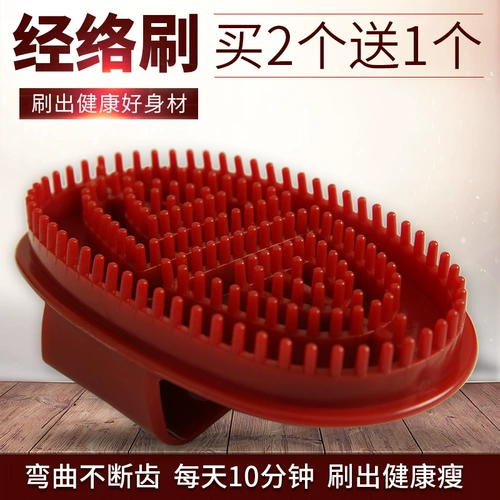 Meridian Brush Massage Devic