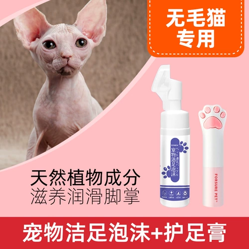 Бесполезное кошка и кошка Специализированные кремовые кремовые педантичные лапы для лапы кошки