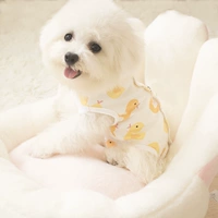 B.Duck, тонкий