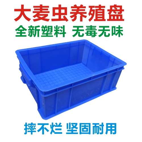 Варварская розовая розовая розовая племенная тарелка плюс корм для домашних животных 具 大 大 大 熙 熙 熙 熙 熙 熙 熙 熙 熙 熙 熙 熙 熙 熙 熙