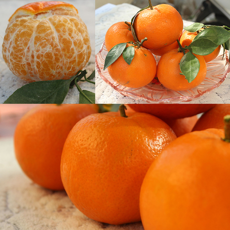 广西武鸣沃柑桔新鲜蜜橘子现摘特产大级水果5斤礼盒装直径50-70mm