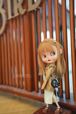 taobao agent Qingcang Lemomo Doll new 4 -color ultra -exquisite time -limited time free shipping small cloth doll 6 -point torch with daily life