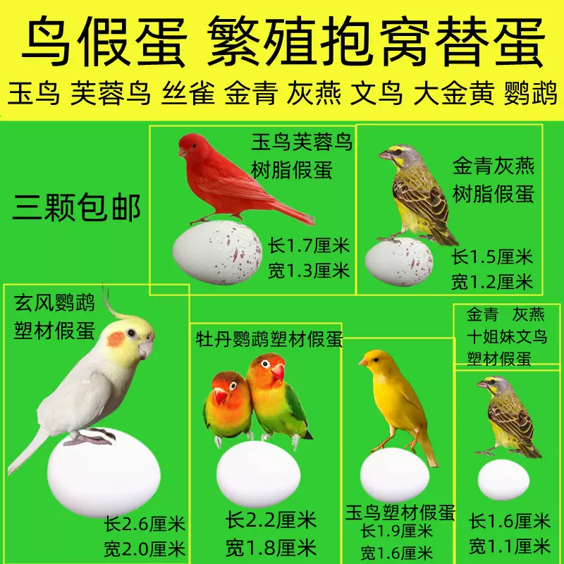 鸟脚环玉鸟识别环开口鸟足环鸟记号环金青文鸟脚环芙蓉鸟鹦鹉脚环