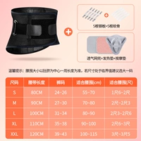 Four Seasons Bionic поддерживает пять стальных пластин+пять хрящ+массаж-черные