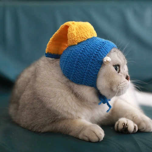 Серьги из жемчуга, шапка, шерстяной плетеный синий шлем, аксессуар для волос