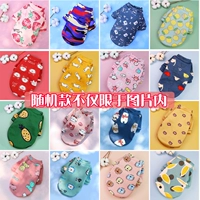 1 случайные модели пружины и осень (не только ограничиваются моделями изображений) не указаны