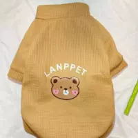 Walv ge желтый медведь