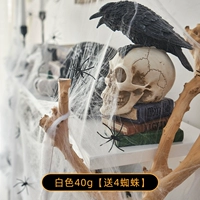 Белый [40G] дает 4 паука