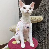 Белая порошковая сосна подвеска