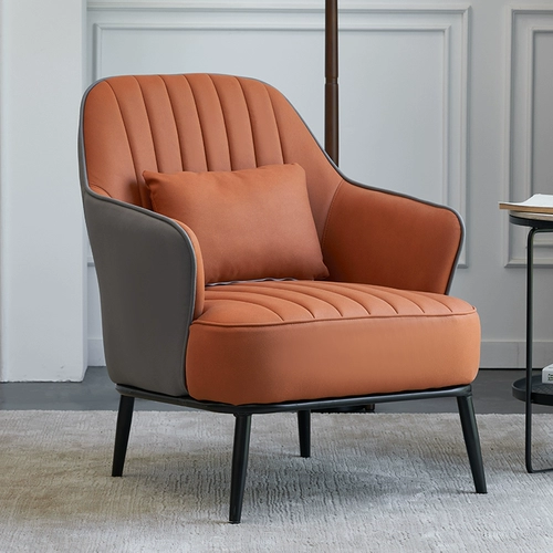 Современный диван для отдыха, популярно в интернете, наука и технология, тигр