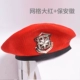 Grid Big Red + Yinbao Anhui