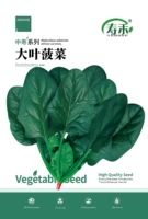 Zhongshou® Big Leaf Spinach Seedach 10 г/сумка [купить 2 получить 1 бесплатно 1]