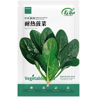 Горячий семена шпината 20 г оригинал (для маленького овощного сада)