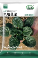 Лежа на земле семян шпината 10G оригинал