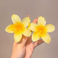 Заколка-крабик, 2 шт