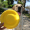 Yellow Frisbee -21 cm