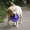 Purple Frisbee -21 cm