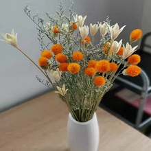 Юньнань сухие цветы настоящие цветы декоративный дом букет стол клубничная ваза маятник гостиная полная звезд легкая роскошь