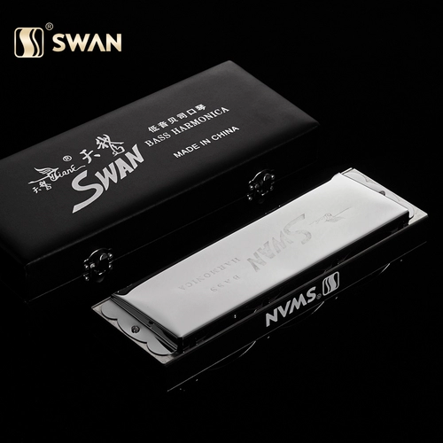 天鹅 Ансамблем Accompanent Bass Bass Bass Bass Bass Basti Performance Group Accompanent Bes Bass Band Harmonica