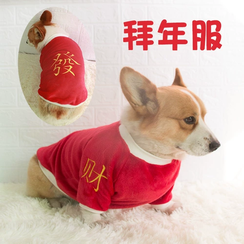 Праздничная осенняя и зимняя собачья одежда среднего размера