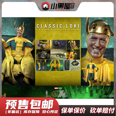 taobao agent Pre -sale hottoys HT 1/6 TMS073 Rocki Loki Old Rocky Senior Edition Moving Popular