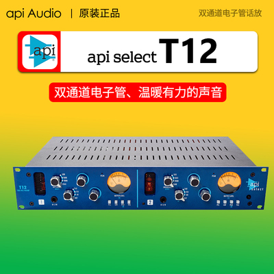 Американский API T12 Электронный трубопровод микрофон API Select T12 Студийный диалект