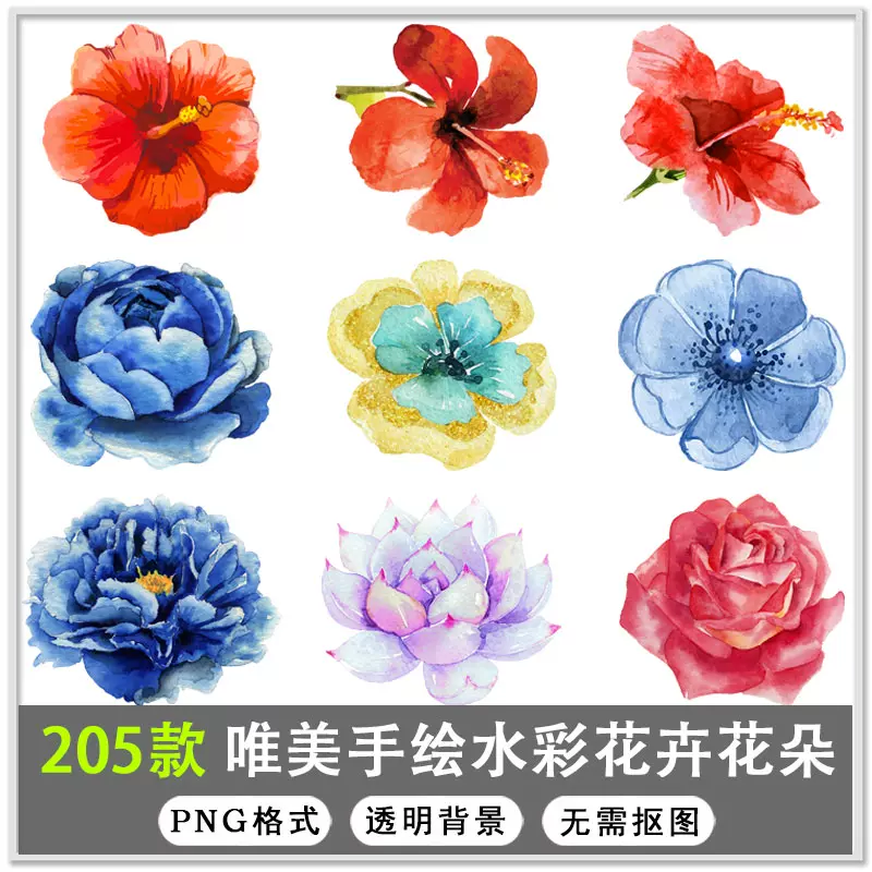 271款手绘唯美小清新花卉花朵植物背景png透明背景免扣素材