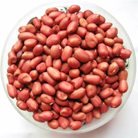 Красная кожа арахис рис сырой арахис 500 г мелких зерновых арахисов и арахисов и фермеров фермеров