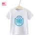 Pocket Dingwang Cat White