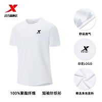 (Дышащая версия) Стиль логотипа