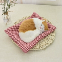 Большой будет называться желтый блок кошачий красный и белая сетка