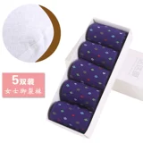 达达狼 Мужские носки, демисезонные силиконовые напяточники