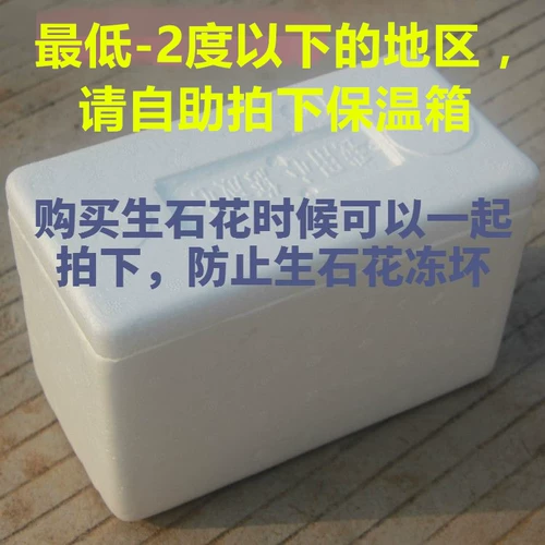 Коробка из пенопласта не купит для сырых каменных цветов, чтобы взять эту ссылку без доставки