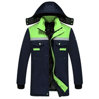 Тибетское синее плечо (внутренние внутренние орхидеи)