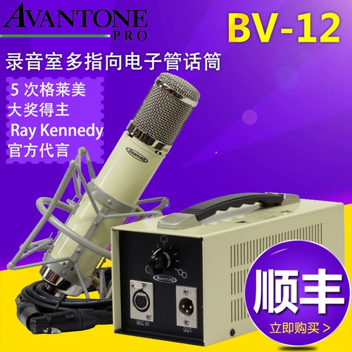 Avantone BV-12 American Origin Classic Electronic Tube Record Microex Dakin Mizer Crowns Shed Microphone