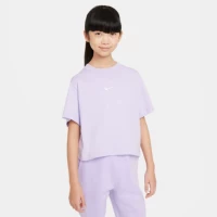 515 Hydrangea Purple/White