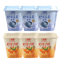 兰格格草原酸奶野生蓝莓/沙棘味
