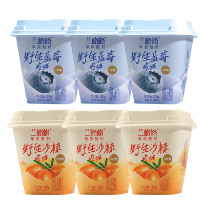 兰格格草原酸奶野生蓝莓/沙棘味