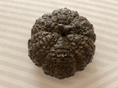 Развивающая игра для