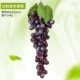 85 -Grain Purple Grapes