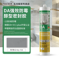 DA12 умоляет предотвратить плесень