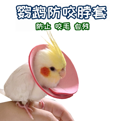 Попугающий анти -сат -шейный набор Xuanfeng Parrot Antibite Cring Cring Anty -Great для защиты кольцевой птицы шеи с помощью Elizabeth Circle