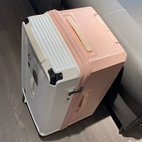 Белый порошок экспортирует небольшое количество запасов в Японии