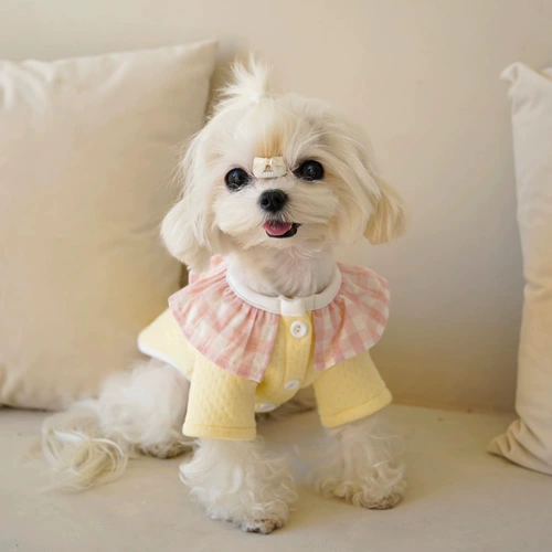 Благодарность лежа в облаках на 100%детское хлопковое медвежье медведь Малзе Юматан собака и одежда для кошек