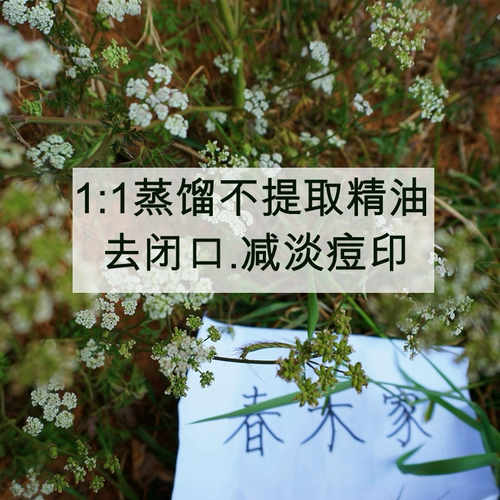 Морковный гидролат от черных точек, 500 мл, устранение тусклости кожи