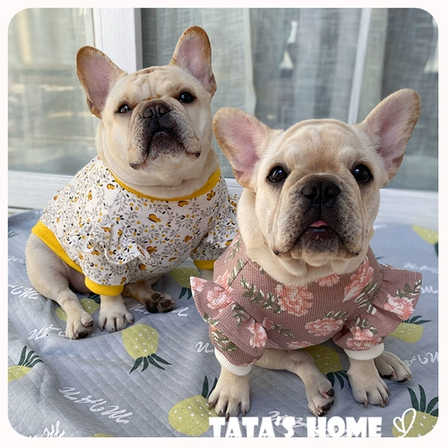 Tata Home -Create Pet Dog