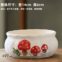 SJH Platter Mushroom Single Special Propect