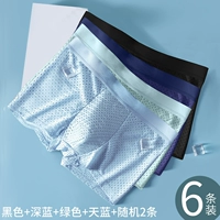 6 Bingshi Net Horles [Spring Blossom+2]