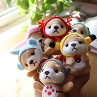 Цвет Shiba inu распределяется случайным образом